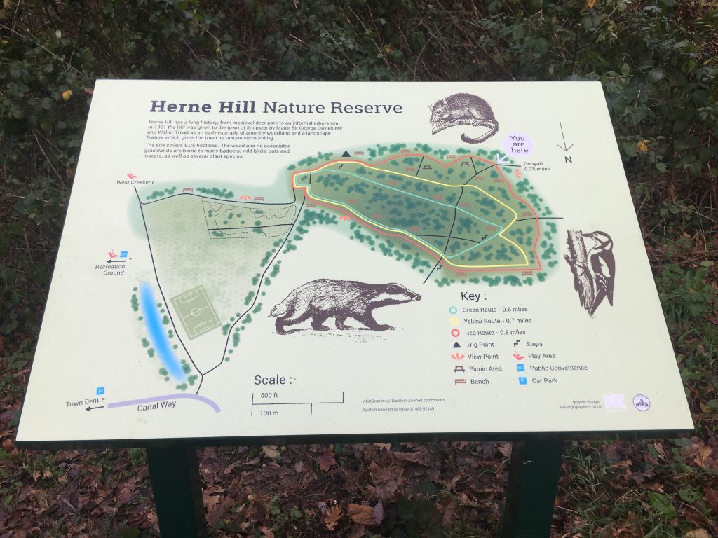 Ilminster Town Council, interpretation board for Herne Hill Nature Reserve.