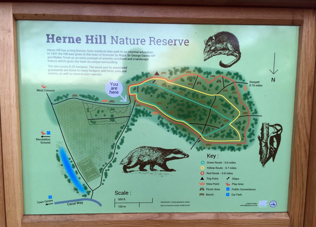 Ilminster Town Council, interpretation board for Herne Hill Nature Reserve.