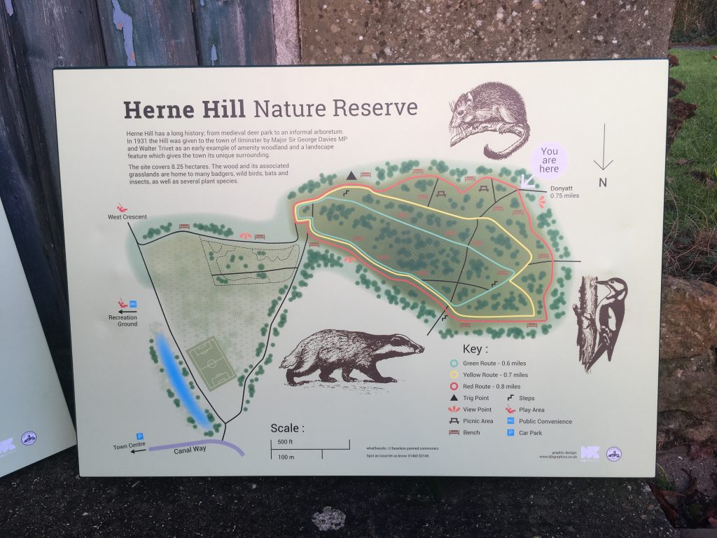 Ilminster Town Council, interpretation board for Herne Hill Nature Reserve.